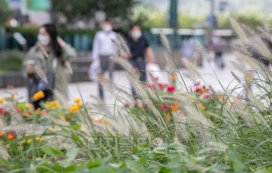 선선한 날씨를 보인 9월 4일 서울 청계광장 인근 수크렁 풀 옆길에서 시민들이 발걸음을 옮기고 있다.